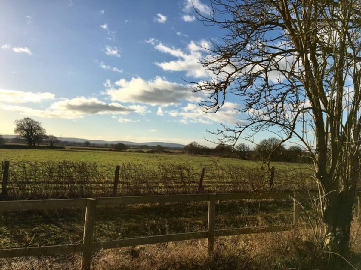 South Cottage - Rural Gem In The Heart Of The Sussex Countryside Twineham Bagian luar foto