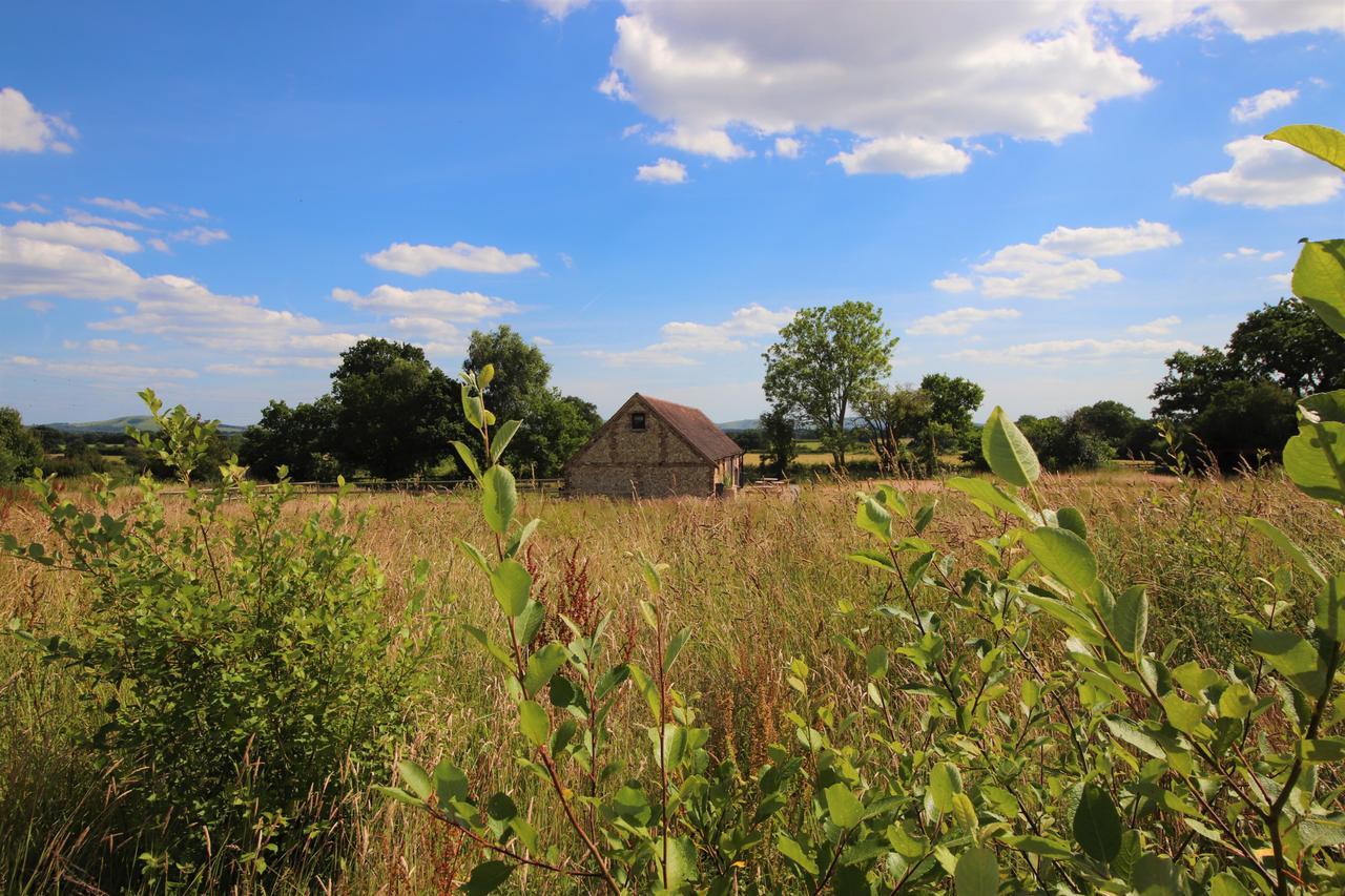 South Cottage - Rural Gem In The Heart Of The Sussex Countryside Twineham Bagian luar foto