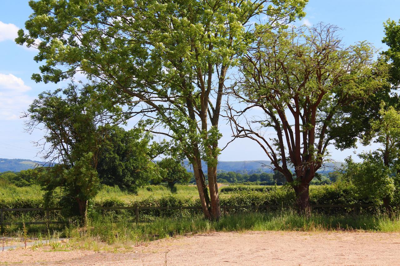 South Cottage - Rural Gem In The Heart Of The Sussex Countryside Twineham Bagian luar foto